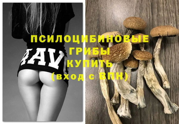 гашик Алзамай